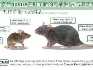 人与畜禽交互mouse开辟了新的可能性;人与畜禽交互 mouse 开辟了怎样的新可能性？