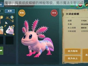 创造与魔法：探索顽皮蝾螈的神秘等级，揭示魔法生物的成长之旅