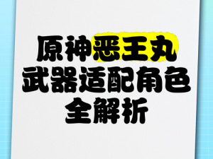 原神恶王丸角色适配与实战技巧解析：掌握使用策略提升角色战力