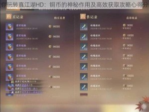 教你玩转真江湖HD：铜币的神秘作用及高效获取攻略心得分享