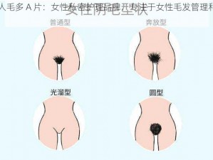 女人毛多 A 片：女性私密护理品牌，专注于女性毛发管理和护理