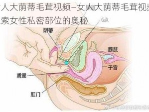 女人大荫蒂毛茸视频—女人大荫蒂毛茸视频：探索女性私密部位的奥秘