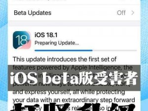 iOS 11 Beta版：探索首个开发者预览版的创新特性与深度体验