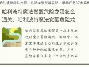 哈利波特魔法觉醒：危险龙蛋破解攻略，学年任务37全解析