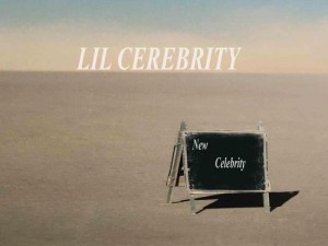 celebrity官网版入口中文,celebrity 官网版入口中文，如何进入 celebrity 官网版的中文页面？