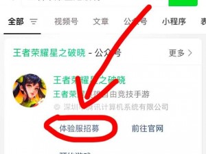 王者荣耀体验服申请攻略：申请步骤与注意事项详解