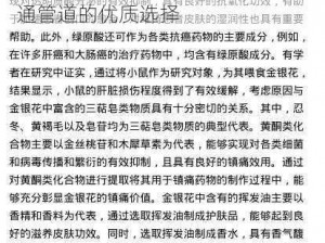 通水管 TXL 金银花原文——高效疏通管道的优质选择