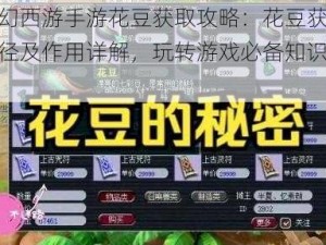 梦幻西游手游花豆获取攻略：花豆获得途径及作用详解，玩转游戏必备知识分享