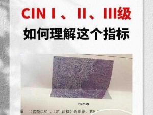 17c13cin;17c13cin 是什么？有什么作用？