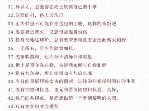 王者荣耀李信台词解析：荣耀与责任并重，光明与暗影交织的战士独白