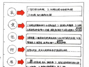 荒岛求生答题答案揭秘：生存技能与智慧应对困境的终极指南