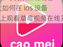 草莓视频在线观看ios;如何在 ios 设备上观看草莓视频在线？