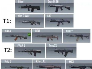 KN44性能深度解析：使命召唤中的精英武器之力