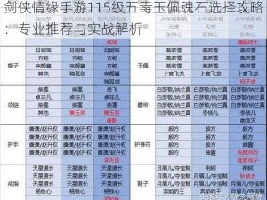 剑侠情缘手游115级五毒玉佩魂石选择攻略：专业推荐与实战解析