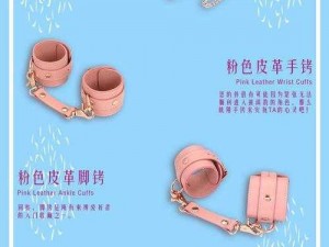 成人精品H无码18调教_成人精品 H 无码 18 调教：解锁新姿势，让你欲罢不能