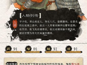 揭秘三国戏赵云传：全方位超详细攻略指南