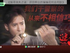 《探寻消失之谜：须弥种出的骗骗花何去何踪》