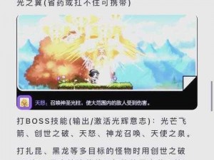 探索无尽光明：光之魔导师技能组合的魅力与威力