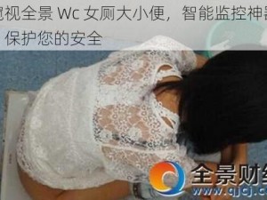 窥视全景 Wc 女厕大小便，智能监控神器，保护您的安全