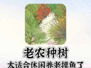 老农种树续缘：详解绿化生态与传承农耕文化的纽带作用