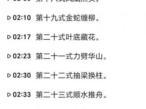 剑影随行，武当搭配两仪剑法巅峰PK战力无敌