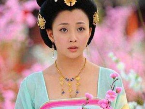 杨贵妃天美映画传媒有限公司 杨贵妃天美映画传媒有限公司：探索历史与艺术的交融