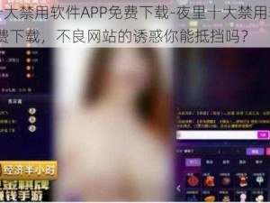 夜里十大禁用软件APP免费下载-夜里十大禁用软件 APP 免费下载，不良网站的诱惑你能抵挡吗？