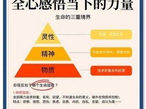 寮祈愿的实现可能性及其潜在收获探索