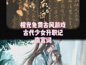 橙光游戏《清宫宠妃世兰传》攻略：四阿哥康熙互动技巧详解