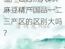 麻豆精产国品一二三产区区别大吗、麻豆精产国品一二三产区的区别大吗？