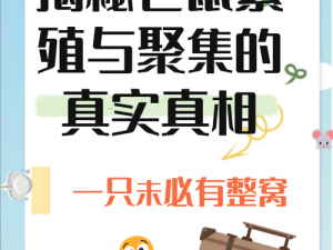 揭秘自然驱鼠良方：老鼠自动远离家园策略一览