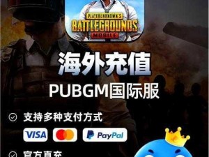 关于PUBG mobile国际版充值方式详解：快速入门指南