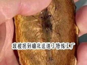 密宗真正肉莲太可怕了—：密宗真正肉莲是何神秘法器，为何让人如此恐惧？