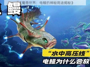 《魔兽世界：电鳗的神秘用途揭秘》