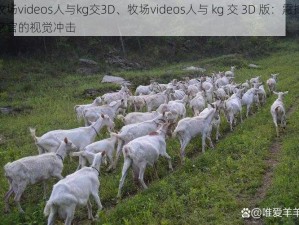 牧场videos人与kg交3D、牧场videos人与 kg 交 3D 版：震撼感官的视觉冲击