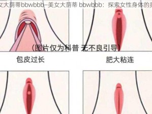 美女大荫蒂bbwbbb—美女大荫蒂 bbwbbb：探索女性身体的奥秘