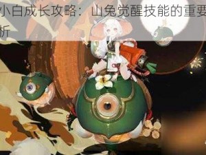 阴阳师小白成长攻略：山兔觉醒技能的重要性及其误区解析