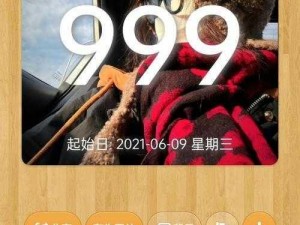 久久久999_久久久 999：探索神秘数字背后的故事