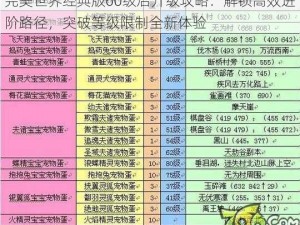 完美世界经典版60级后升级攻略：解锁高效进阶路径，突破等级限制全新体验