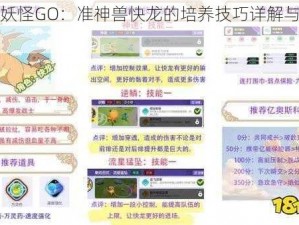 口袋妖怪GO：准神兽快龙的培养技巧详解与攻略指南