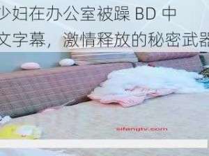 少妇在办公室被躁 BD 中文字幕，激情释放的秘密武器