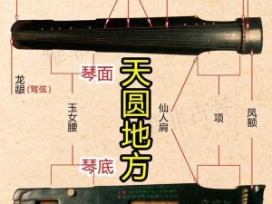 江湖琴师揭秘：古琴艺术全解，琴音中的江湖世界，图片答案集萃