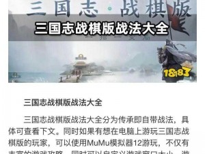 三国志战棋版洛神战法解析：策略与技巧的完美融合