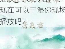 可不可以干湿你现场播放_可以的话，你现在可以干湿你现场播放吗？