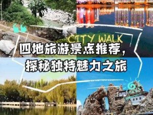 探寻多处不同地域的多样魅力：各地风情解析之旅