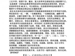 辉煌足球之路：深度解析打法心得，探索胜利之秘