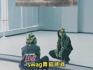 SWAG免费破解版软件,SWAG 免费破解版软件，真的有那么好用吗？