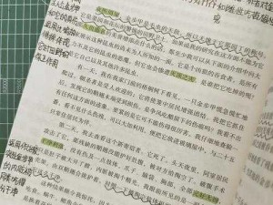 雷米尔：揭秘他的故事与影响力，探索其背后的真实信息