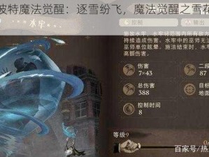 《哈利波特魔法觉醒：逐雪纷飞，魔法觉醒之雪花追逐全攻略》