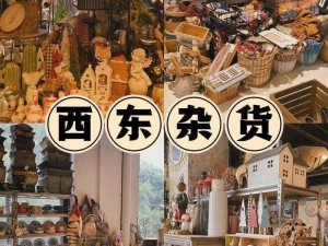 绝区零杂货店：探索日常用品的多元价值，杂货店细节解析